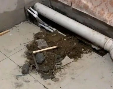 铜仁市卫生间漏水检测哪家好